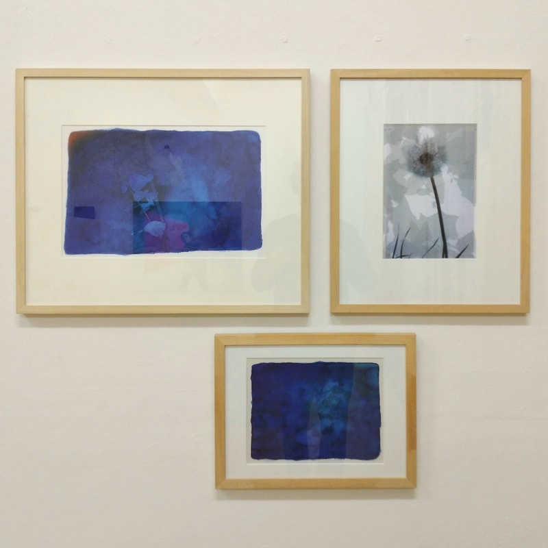 inbetween days | exhibition view | several works on paper from Hortus Conclusus | Ton Kruse