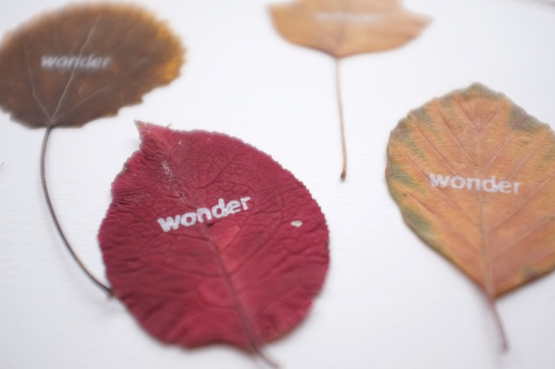 Autumn leaf, wonder, Ton Kruse