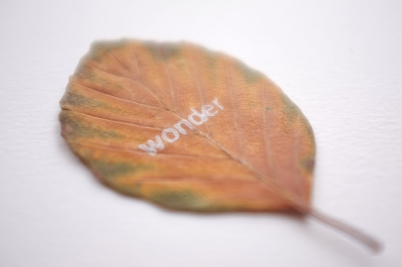 autumn leaf, herfstblad, wonder